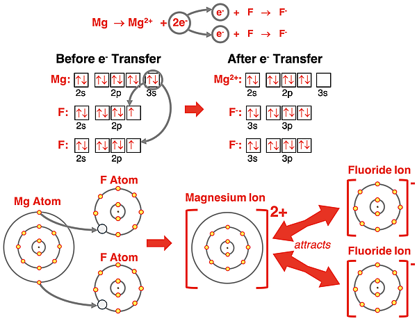 Electron shell and orbital box diagrams showing how Mg and two F atoms satisfy the octet rule by forming ionic bonds.