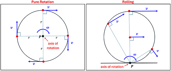 A diagram of Pure rotation (axis of rotation center) vs. Rolling (axis of rotation on bottom). Both show a circle with 4 points and blue vector lines, and dotted lines representing the radius. The left diagram (Pure rotation) shows the point of rotation P at the center, 4 dots at 0, 90, 180, and 270 degrees, each with a straight tangential velocity of the same magnitude and the same radius. On the right is a picture of rolling to the right, where the axis of rotation P is on the bottom, different radius lengths point to the axis of rotation on the bottom with tangential velocities of different directions and magnitudes due to what tangential is from that point to the bottom and the varying radius lengths.