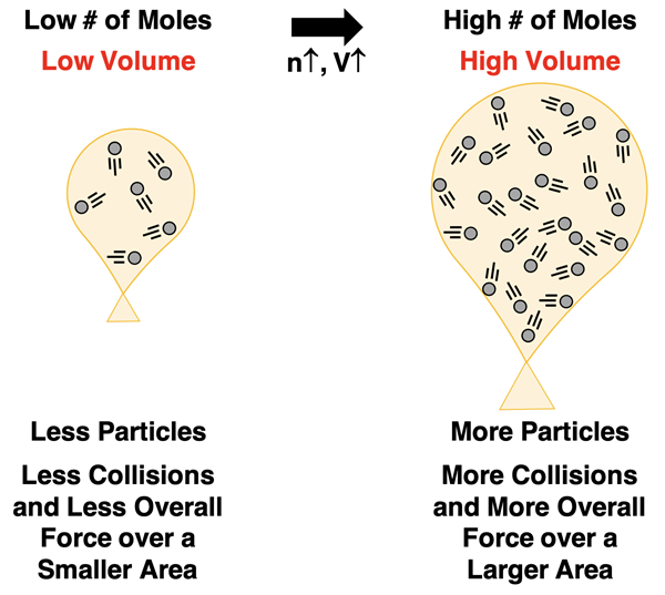 Increasing the # of particles increases the # of collisions and the overall force on the walls. To keep pressure constant, the volume increases. This increases the area over which the collisions occur and keeps the ratio of force/area constant.